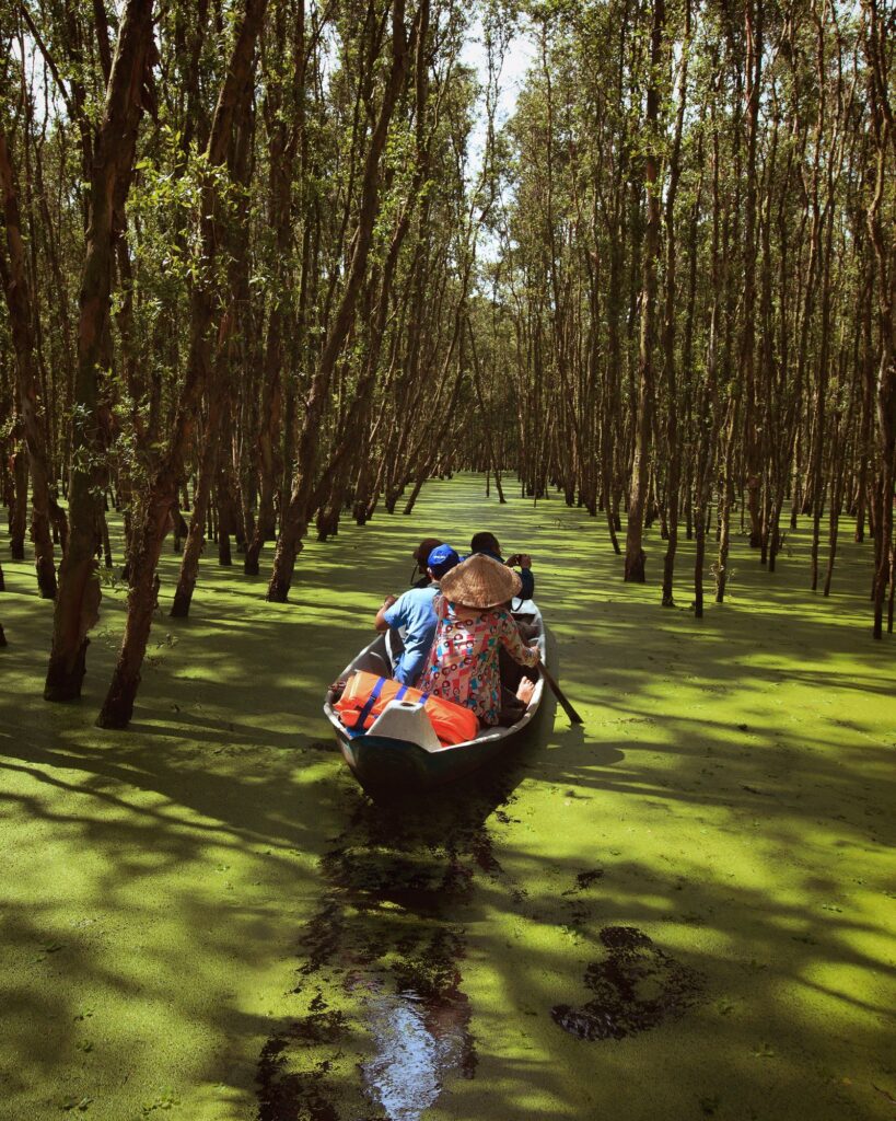 A small boat gliding through a flooded cajuput forest in the Mekong Delta, Vietnam
